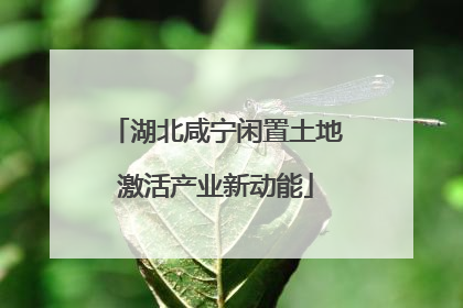 湖北咸宁闲置土地激活产业新动能