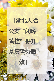 湖北大冶公安“闭环管控”提升基层警务质效