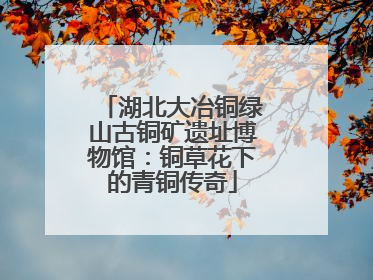 湖北大冶铜绿山古铜矿遗址博物馆：铜草花下的青铜传奇