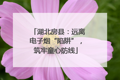 湖北房县：远离电子烟“陷阱”，筑牢童心防线