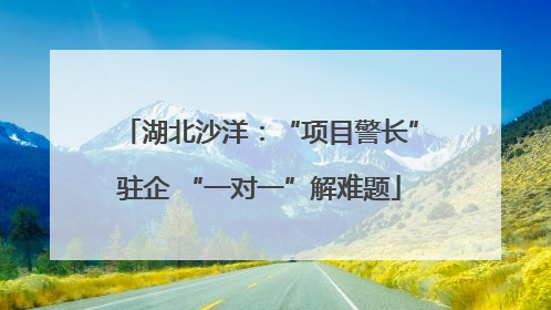 湖北沙洋：“项目警长”驻企 “一对一”解难题