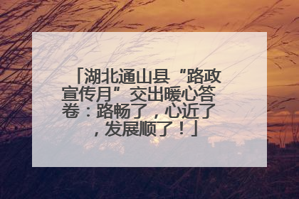 湖北通山县“路政宣传月”交出暖心答卷：路畅了，心近了，发展顺了！