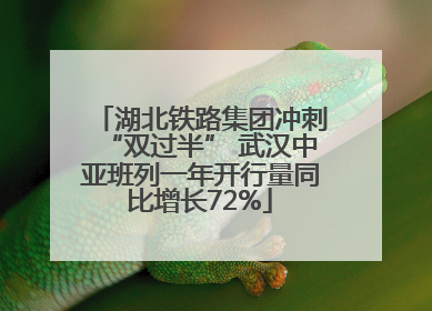 湖北铁路集团冲刺“双过半” 武汉中亚班列一年开行量同比增长72%