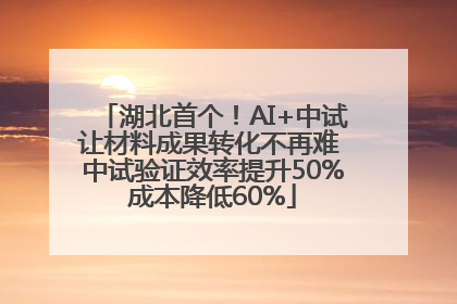 湖北首个！AI+中试让材料成果转化不再难 中试验证效率提升50%成本降低60%