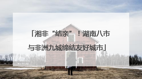 湘非“结亲”！湖南八市与非洲九城缔结友好城市
