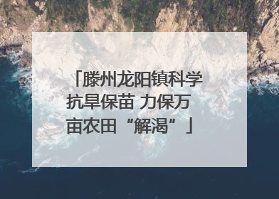 滕州龙阳镇科学抗旱保苗 力保万亩农田“解渴”