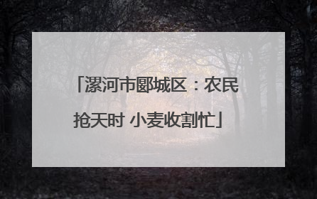 漯河市郾城区：农民抢天时 小麦收割忙