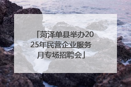 菏泽单县举办2025年民营企业服务月专场招聘会
