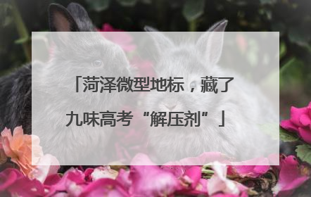 菏泽微型地标，藏了九味高考“解压剂”