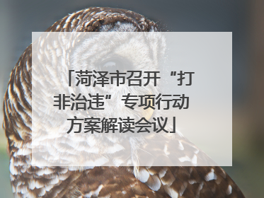 菏泽市召开“打非治违”专项行动方案解读会议