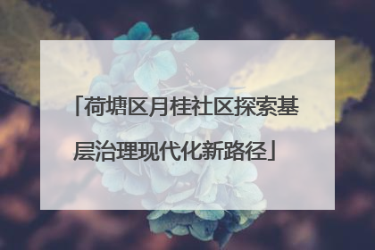 荷塘区月桂社区探索基层治理现代化新路径