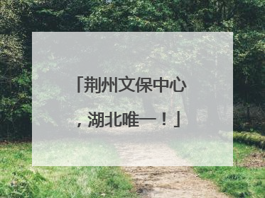 荆州文保中心，湖北唯一！