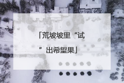 荒坡坡里“试”出希望果