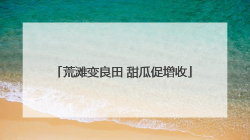 荒滩变良田 甜瓜促增收