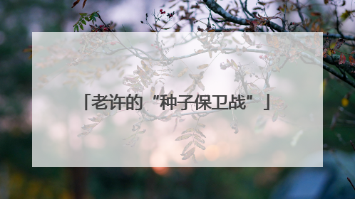 老许的“种子保卫战”