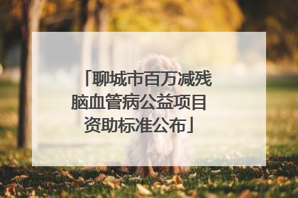 聊城市百万减残脑血管病公益项目资助标准公布