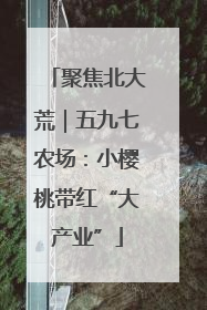 聚焦北大荒｜五九七农场：小樱桃带红“大产业”