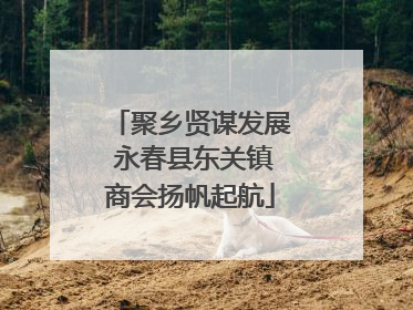 聚乡贤谋发展 永春县东关镇商会扬帆起航