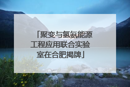 聚变与氢氨能源工程应用联合实验室在合肥揭牌