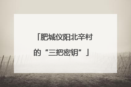 肥城仪阳北辛村的“三把密钥”