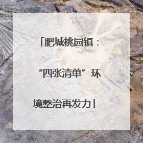 肥城桃园镇:“四张清单”环境整治再发力