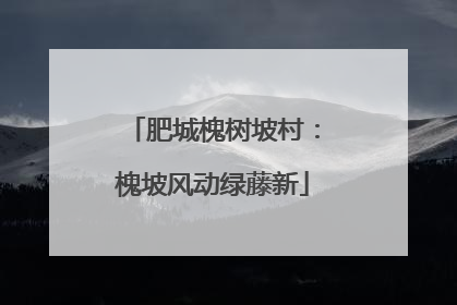 肥城槐树坡村：槐坡风动绿藤新