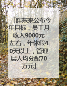 胖东来公布今年目标：员工月收入9000元左右，年休假40天以上，管理层人均分配70万元