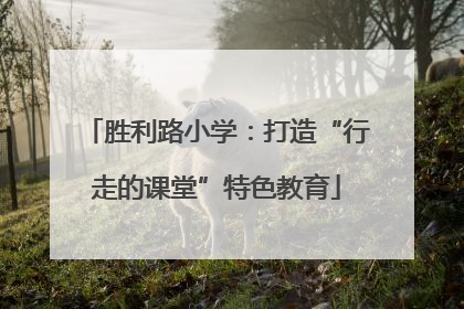 胜利路小学：打造“行走的课堂”特色教育
