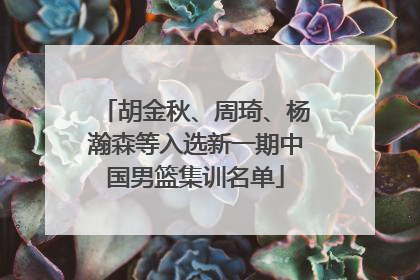 胡金秋、周琦、杨瀚森等入选新一期中国男篮集训名单