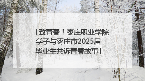 致青春！枣庄职业学院学子与枣庄市2025届毕业生共诉青春故事