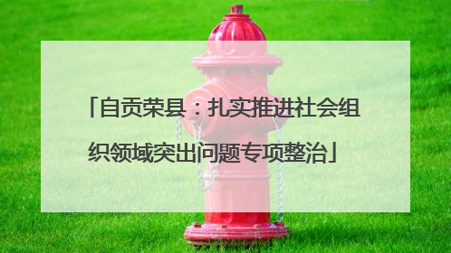 自贡荣县：扎实推进社会组织领域突出问题专项整治