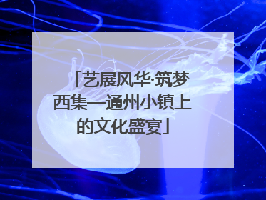 艺展风华·筑梦西集—通州小镇上的文化盛宴