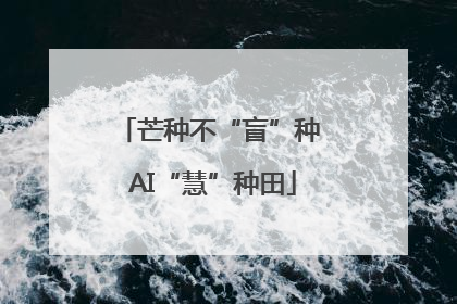 芒种不“盲”种 AI“慧”种田