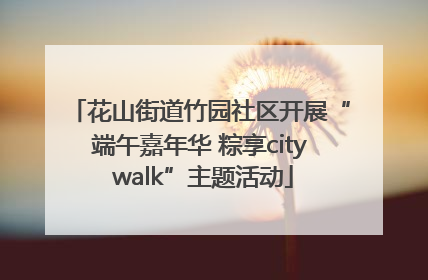 花山街道竹园社区开展“端午嘉年华 粽享city walk”主题活动