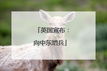 英国宣布：向中东增兵