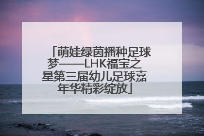 萌娃绿茵播种足球梦——LHK福宝之星第三届幼儿足球嘉年华精彩绽放