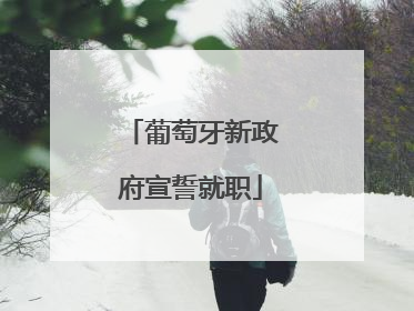 葡萄牙新政府宣誓就职