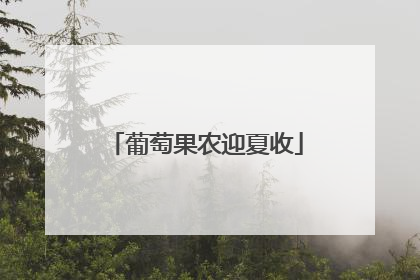 葡萄果农迎夏收