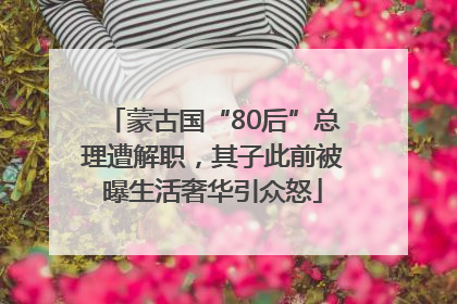 蒙古国“80后”总理遭解职，其子此前被曝生活奢华引众怒
