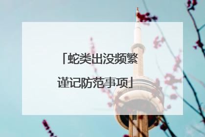 蛇类出没频繁 谨记防范事项