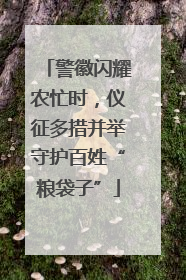 警徽闪耀农忙时，仪征多措并举守护百姓“粮袋子”