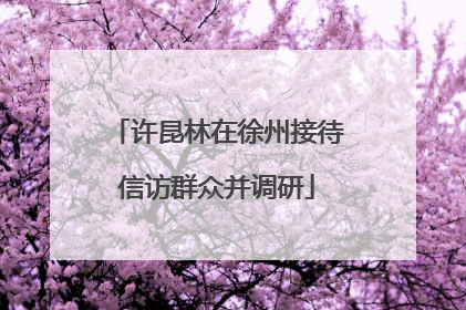 许昆林在徐州接待信访群众并调研