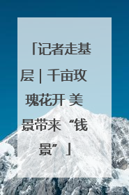 记者走基层｜千亩玫瑰花开 美景带来“钱景”