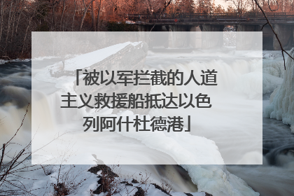 被以军拦截的人道主义救援船抵达以色列阿什杜德港