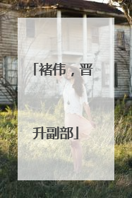 褚伟，晋升副部