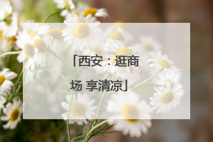 西安：逛商场 享清凉