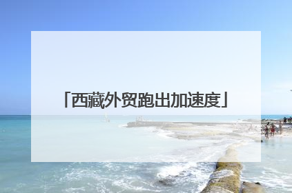 西藏外贸跑出加速度
