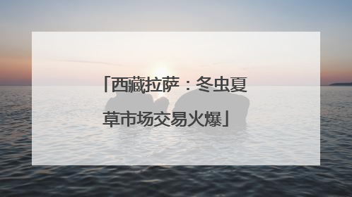 西藏拉萨：冬虫夏草市场交易火爆
