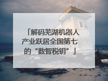 解码芜湖机器人产业跃居全国第七的“数智税钥”