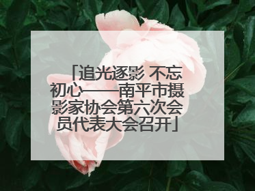 追光逐影 不忘初心——南平市摄影家协会第六次会员代表大会召开